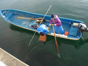 再開されたアワビ漁