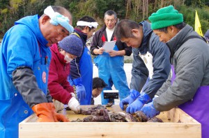 アワビの選別作業