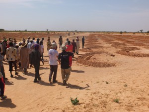 写真④半月型に土地を整備