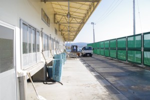 再建されたカキ処理場と防風フェンス