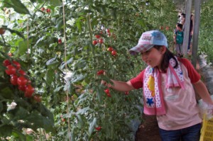 P7063458_Re - コピー