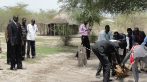 7_郡長訪問に感謝して牛を捧げる住民達rs