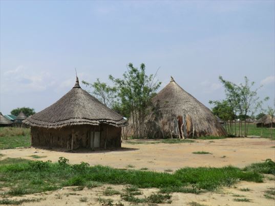 ピースウィンズ・ジャパンの南スーダン事業 ボーの村