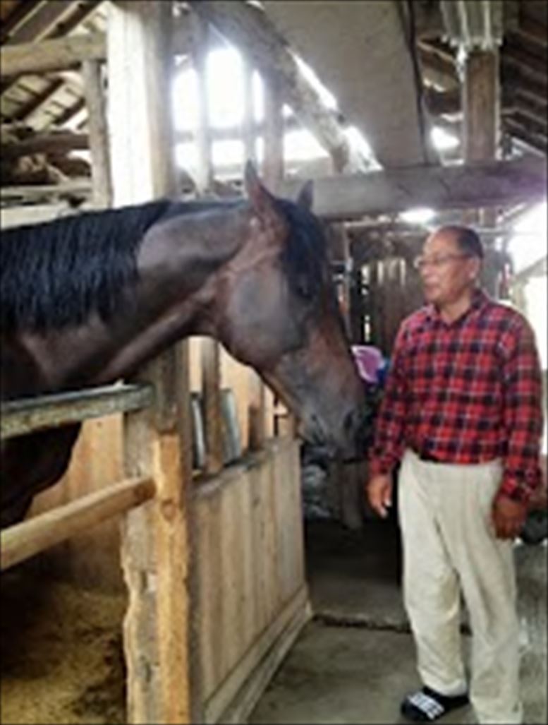 相馬野馬追振興秋季競馬大会