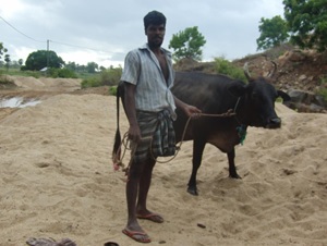 スリランカ支援　ピースウィンズ・ジャパン