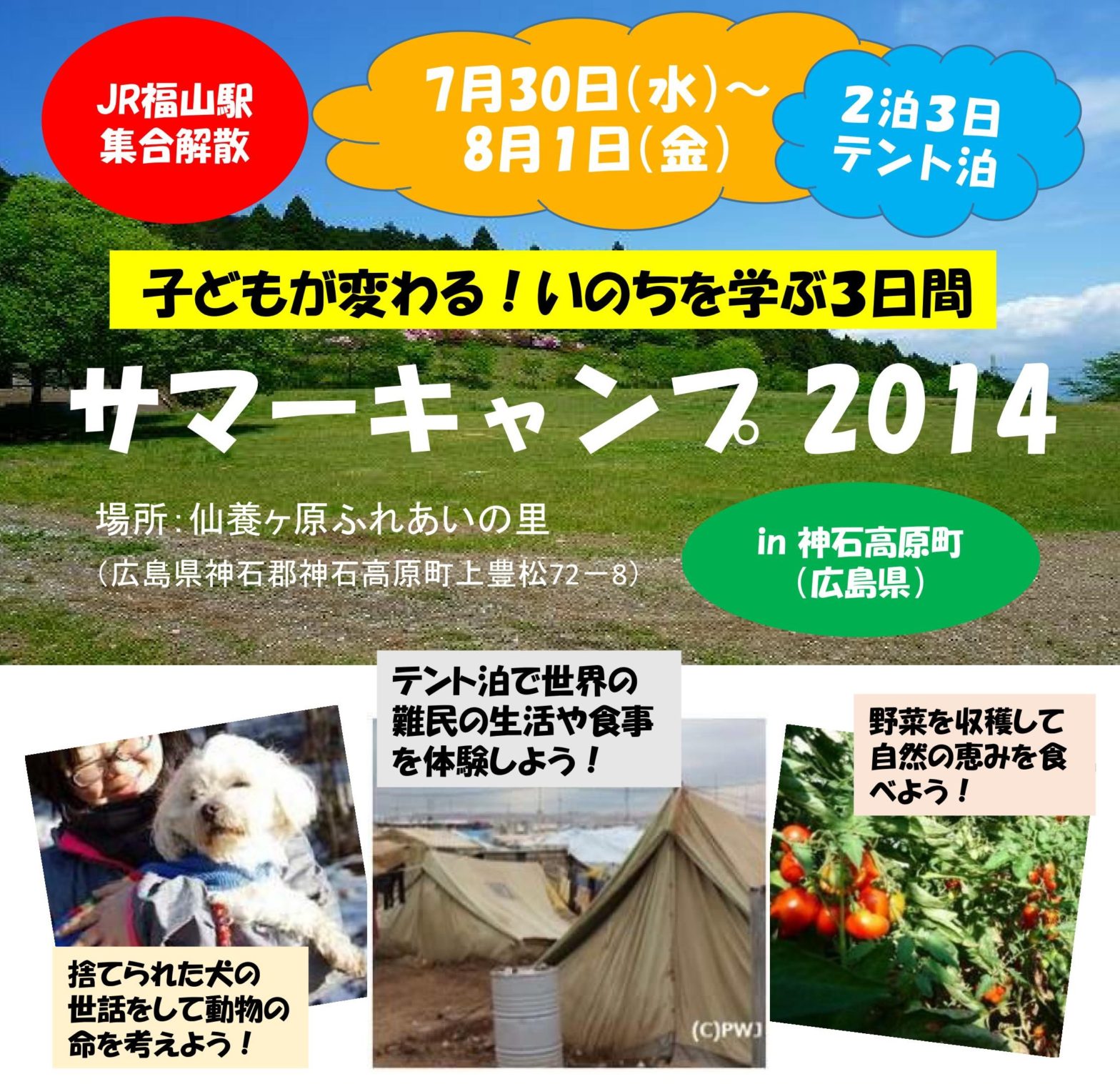 サマーキャンプチラシ