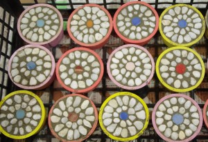 エコ平板・7月の作品