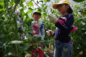 サマーキャンプ