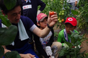 サマーキャンプ