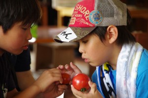 サマーキャンプ
