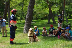 サマーキャンプ