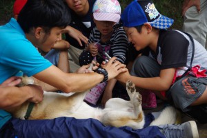 サマーキャンプ