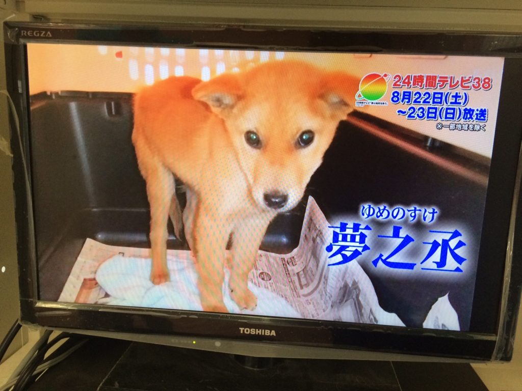 夢之丞
