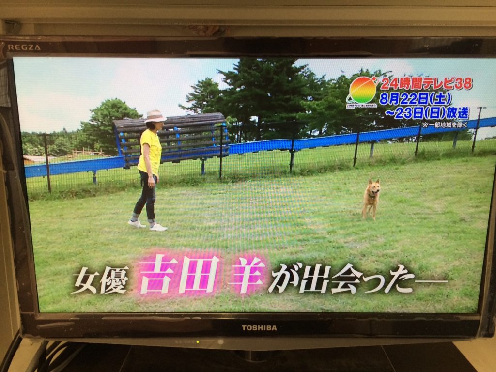夢之丞