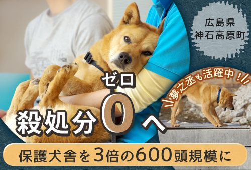 ふるさとチョイス