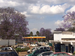 o0320024014283754472