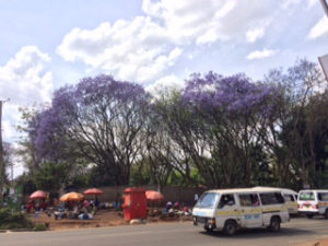 o0320024014283754508