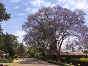 o0320024014283754526