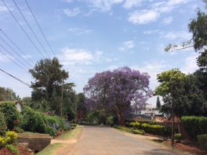 o0320024014283754533