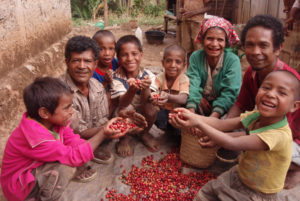 収穫したコーヒーチェリーと現地の生産者たち