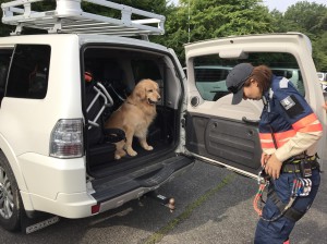 陸路で被災地に向かう準備をするPWJレスキュー隊員と災害救助犬のハルク