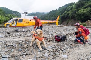 20170706-08@朝倉_170708_0079