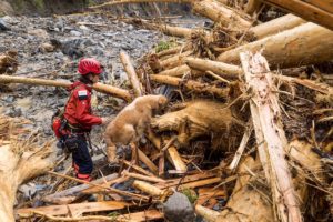 20170706-08@朝倉_170708_0077