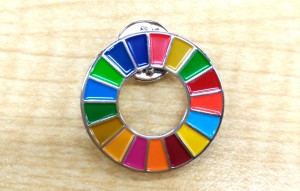 SDGs