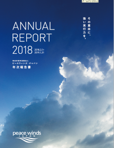 2018年度年次報告書