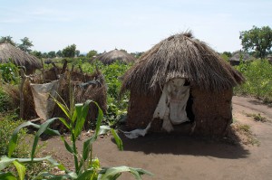 現在の簡素なトイレ(右側)と水浴び場(左側)。息子家族と共有している。